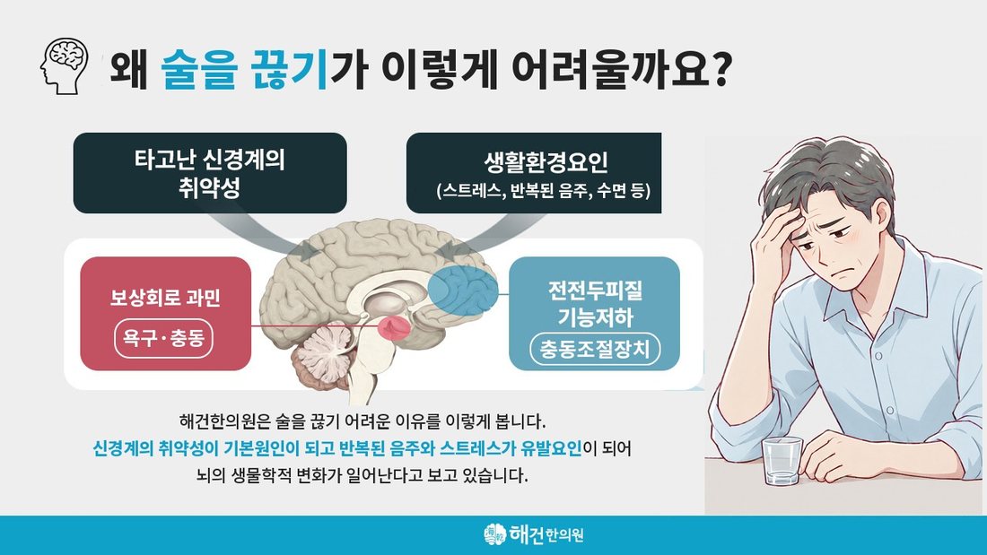 알콜에 대한 해건한의원의 설명 그림