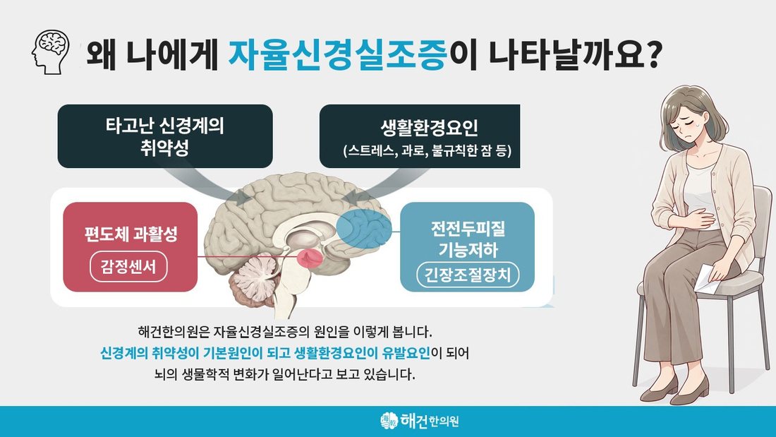 자율신경에 대한 해건한의원의 설명 그림